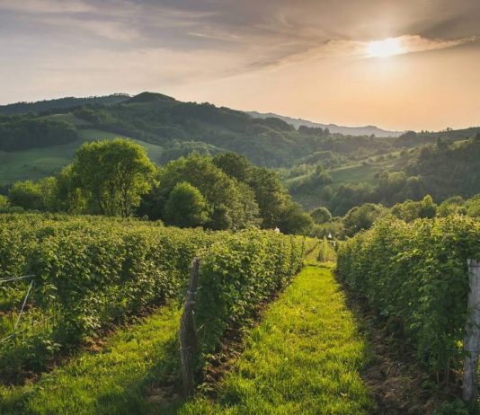 Bobija – Planina i netaknuti dragulj zapadne Srbije Planina Bobija