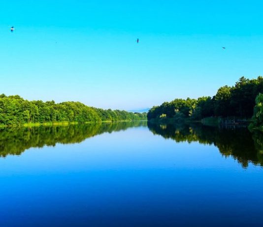 Sovinsko jezero – Zapušteni biser nadomak Zaječara Sovinsko jezero