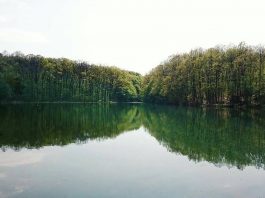 Jezero Zaova – Oaza mira nadomak Požarevca Jezero Zaova