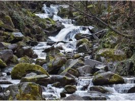 Radaljska reka u podnožju Boranje Radaljska reka