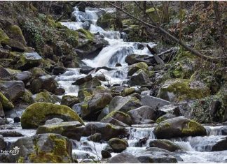 Radaljska reka u podnožju Boranje Radaljska reka