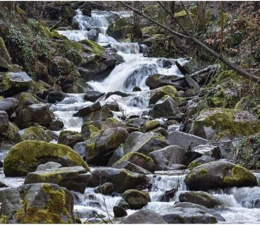 Radaljska reka u podnožju Boranje Radaljska reka