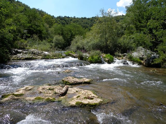 Reka Lužnica