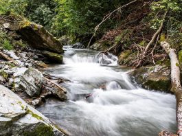 Reka Tegošnica – Desna pritoka Vlasine Reka Tegošnica