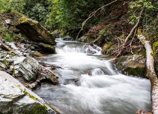 Reka Tegošnica – Desna pritoka Vlasine Reka Tegošnica