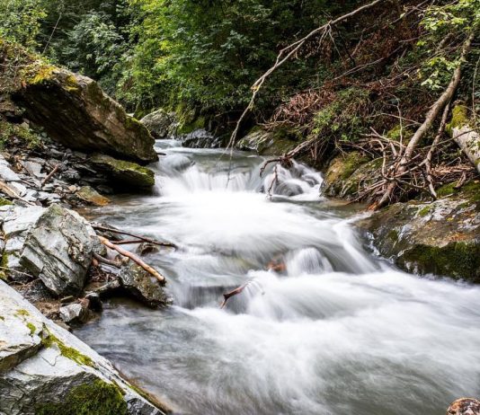 Reka Tegošnica – Desna pritoka Vlasine Reka Tegošnica