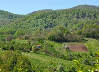 Planina Jelica – Nestvaran pogled i uživanje u šetnjama Planina Jelica