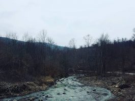 Reka Kosanica – Najveća pritoka Toplice – Južna Srbija Reka Kosanica