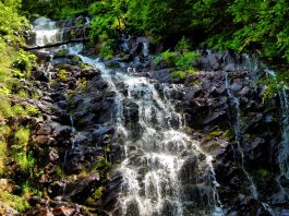 Donji Piljski vodopad na Staroj planini Donji Piljski vodopad