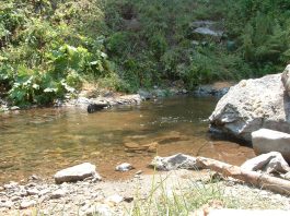 Lisinska reka (Reka Lisina) – Jugoistočna Srbija Lisinska reka