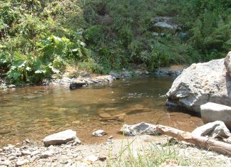 Lisinska reka (Reka Lisina) – Jugoistočna Srbija Lisinska reka