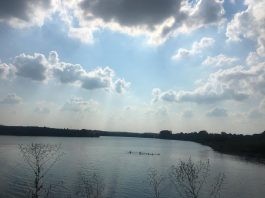 Markovačko jezero u podnožju planine Kosmaj Markovačko jezero