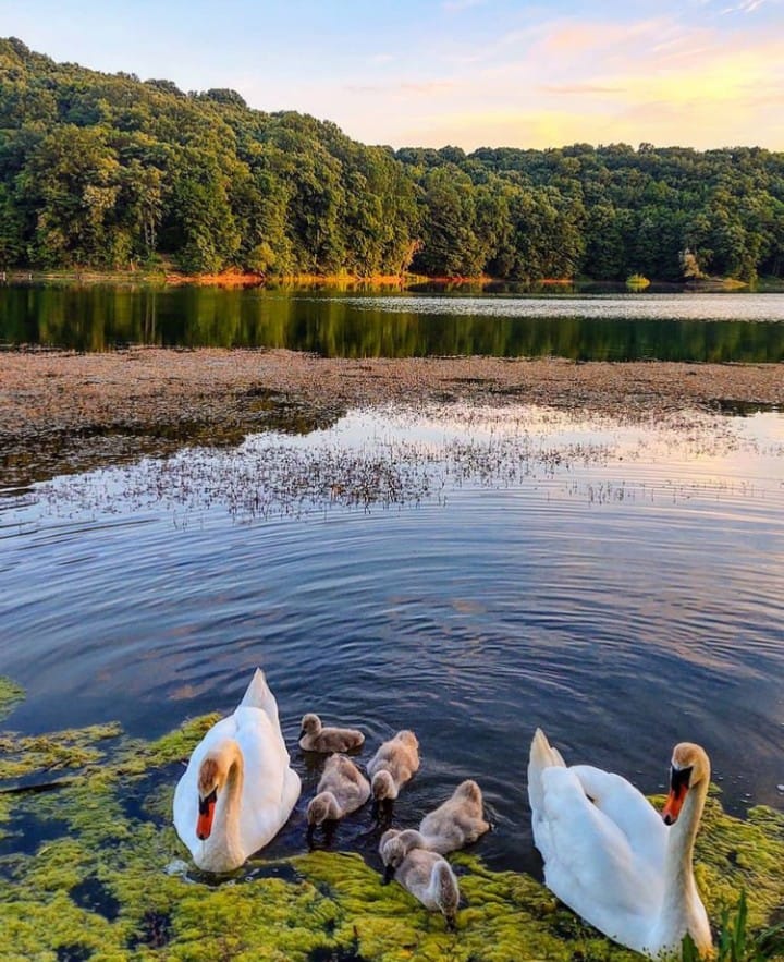 Sotsko jezero