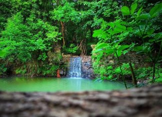 Vodopad Pruten – Bogatstvo planine Kosmaj Vodopad Pruten