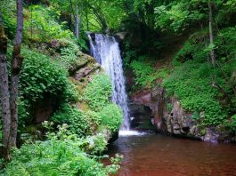 Krmoljski vodopadi na Staroj planini – Donji i Gornji Krmoljski vodopadi