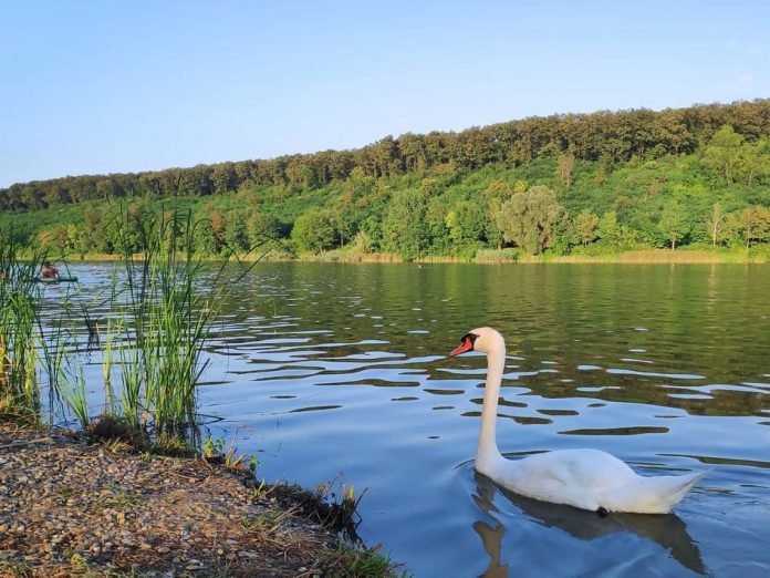 Jezero Bruje