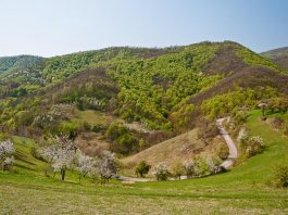 Šomrda – Najviša planina u Nacionalnom parku Đerdap Šomrda