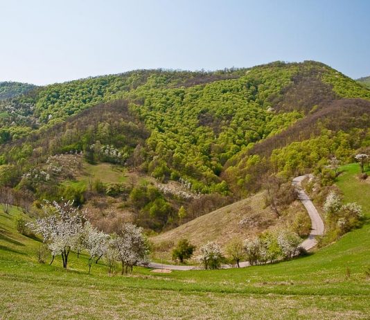 Šomrda – Najviša planina u Nacionalnom parku Đerdap Šomrda