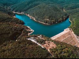 Krajkovačko jezero – Omiljeno izletište u nišavskom okrugu Krajkovačko jezero