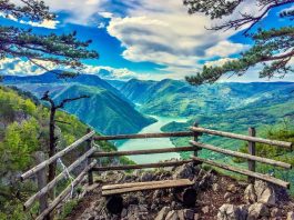 Vidikovac Banjska stena – Najlepši vidikovac na Tari Vidikovac Banjska stena