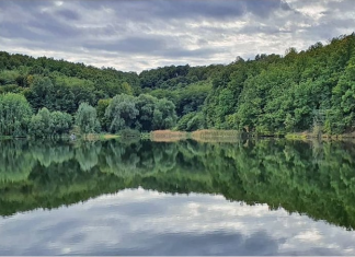 Koreničko jezero – Idilično mesto kod Petrovca na Mlavi Koreničko jezero