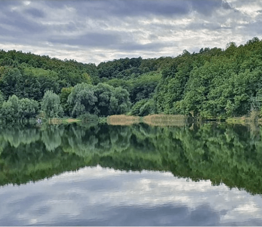 Koreničko jezero – Idilično mesto kod Petrovca na Mlavi Koreničko jezero