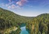 Jezero Kruščica – Nacionalni park Tara Jezero Kruščica