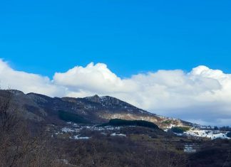 Planina Vidlič kod Pirota – Šta videti i obići? Planina Vidlič