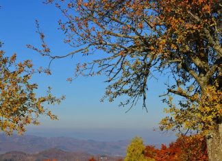 Jelova gora – Planina u zapadnoj Srbiji Jelova gora