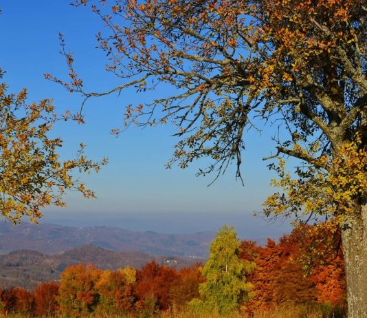 Jelova gora – Planina u zapadnoj Srbiji Jelova gora