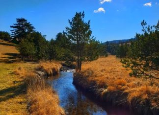 Crni Rzav – Reka koja nudi prelepa mesta za izlet Crni Rzav