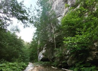 Beli Rzav – Prirodno bogatstvo Tare (Kanjon, jezera…) Beli Rzav