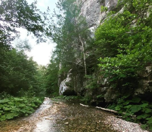 Beli Rzav – Prirodno bogatstvo Tare (Kanjon, jezera…) Beli Rzav