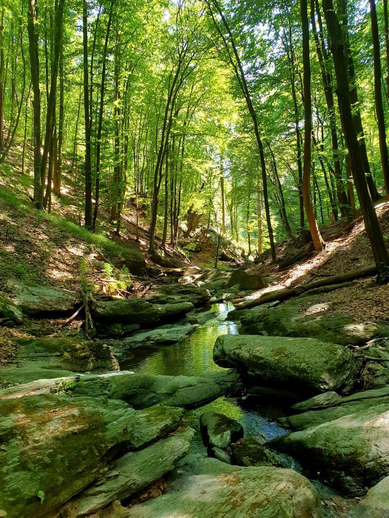 Planina Bešnjaja - Voljevica