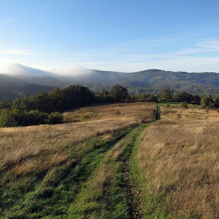 Planina Bešnjaja