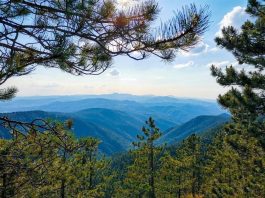 Vidikovac Golubac na Divčibarama (1056 mnv) Vidikovac Golubac