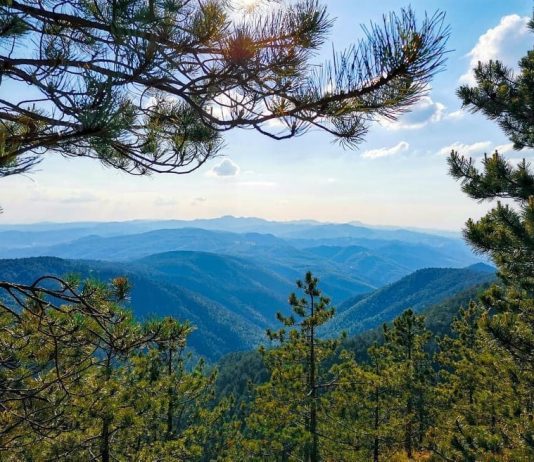 Vidikovac Golubac na Divčibarama (1056 mnv) Vidikovac Golubac