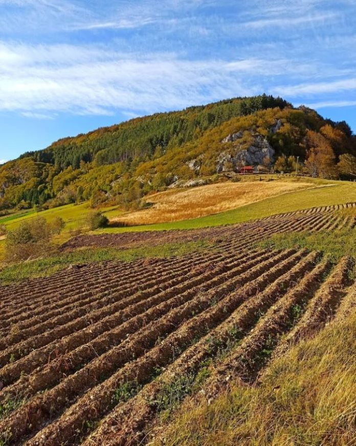 Planina Kukutnica