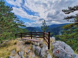 Vidikovac Sokolarica – Savršen pogled na kanjon Rače Vidikovac Sokolarica