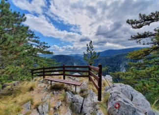 Vidikovac Sokolarica – Savršen pogled na kanjon Rače Vidikovac Sokolarica