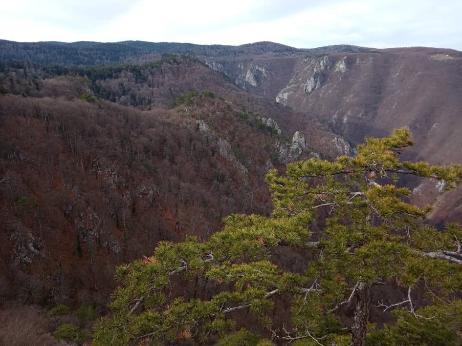 Vidikovac Crnjeskovo