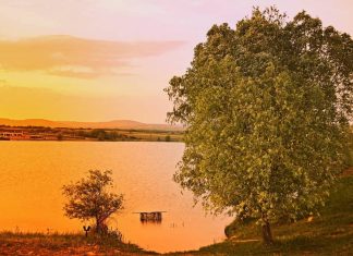Borkovačko jezero – Mesto za odmor na Fruškoj gori Borkovačko jezero - Jezero Borkovac