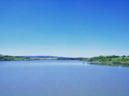 Jarkovačko jezero – Ljukovsko jezero kod Inđije Jarkovačko jezero