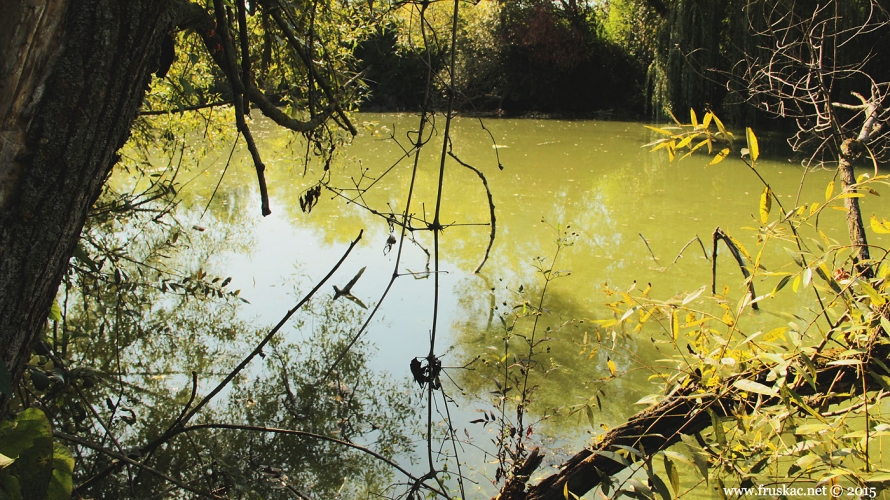 Čalmansko jezero