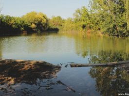 Čalmansko jezero – Jezera Čalma I, II i III (Fruška gora) Čalmansko jezero
