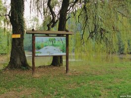 Jezero Testera i istoimeno izletište – NP Fruška gora Jezero Testera