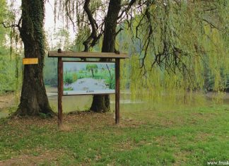 Jezero Testera i istoimeno izletište – NP Fruška gora Jezero Testera