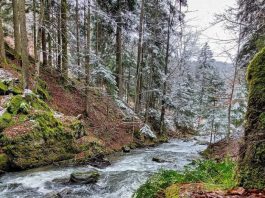 Gvozdačka reka – Brezanska reka na Goču Gvozdačka reka