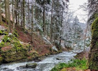 Gvozdačka reka – Brezanska reka na Goču Gvozdačka reka