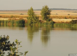 Bingulsko jezero na Fruškoj gori Bingulsko jezero